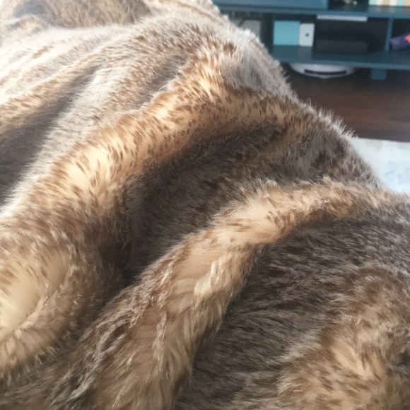 Meet your Posher, Ruth - Picture 1 of 1